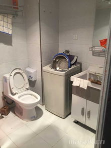 恒泰达观天下一室一厅一卫精品公寓出租